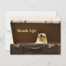 Search for address relocation postcards Funny