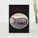 Search for open mouth cards Hippopotamus