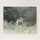 Search for kenya puzzles Animals