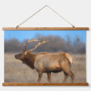 Search for john wilde art Nature