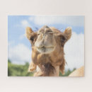 Search for camel puzzles Nature