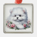 Search for coton de tulear christmas tree decorations Dog