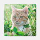 Search for green eyes magnets Cute