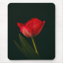 Search for red tulips mousepads Bloom