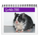 Search for gerbils Pets