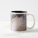 Search for eyes closed mugs Wildlife
