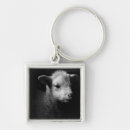 Search for body part key rings Domestic animals