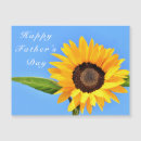Search for sunflower seasonal cards Nature