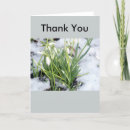 Search for snowdrop cards Flowers