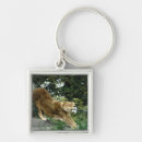 Search for big square key rings Colour image