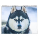 Search for husky office supplies Siberian huskies