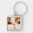 Search for calico key rings Animals