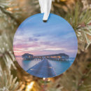 Search for asia christmas tree decorations Indian ocean