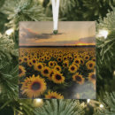 Search for bouquet christmas tree decorations Plant