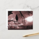 Search for nevermore postcards Edgar allan poe