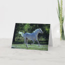 Search for bob cards Stallion
