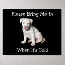 Search for pit bull puppy posters Black