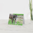 Search for brindle cards Dog lover