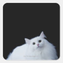 Search for siberian cat stickers Cute