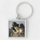 Search for surveillance key rings Watching