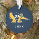 Search for anteater christmas tree decorations College