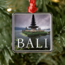 Search for evening christmas tree decorations Landscape