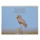 Search for owl calendars Birds of prey