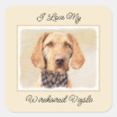 Search for vizsla stickers Pet