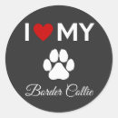 Search for border collies stickers Puppies
