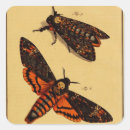 Search for moths stickers Bug