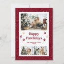 Search for paw print cards Modern