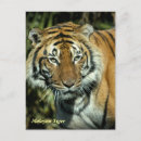 Search for malayan Endangered species
