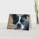 Search for eyes closed cards Cute
