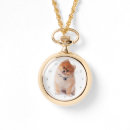 Search for pomeranian accessories Cute