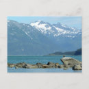 Search for baldness postcards Scenic