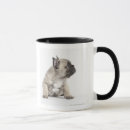 Search for pedigree mugs Nature