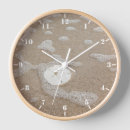 Search for sea urchin art Sand dollar
