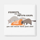 Search for ferret magnets Animals