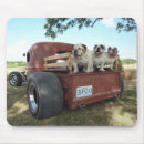 Search for bulldogs mousepads English bulldog