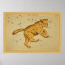 Search for ursa posters Star charts