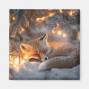 Search for under magnets Fox