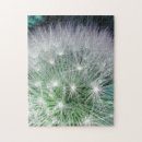 Search for dandelion puzzles Flower