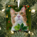 Search for ginger cat christmas tree decorations Feline
