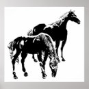 Search for two black horses posters Animal