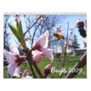 Search for spider calendars Insects