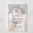 Search for transparent background postcards Modern