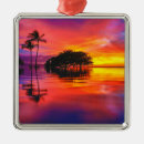 Search for on to the beach christmas tree decorations Travel