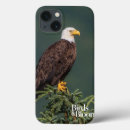 Search for bird watching electronics Bald eagle