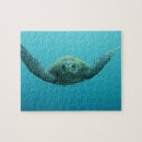 Search for underwater puzzles Reptile