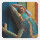 Search for chameleon stickers Rainbow